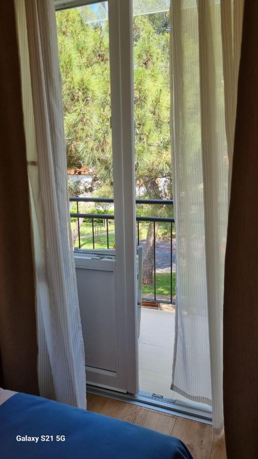 Apartment Rivarela Blu - Newly Renovated And Top Location Near Sea Novigrad  Exterior photo
