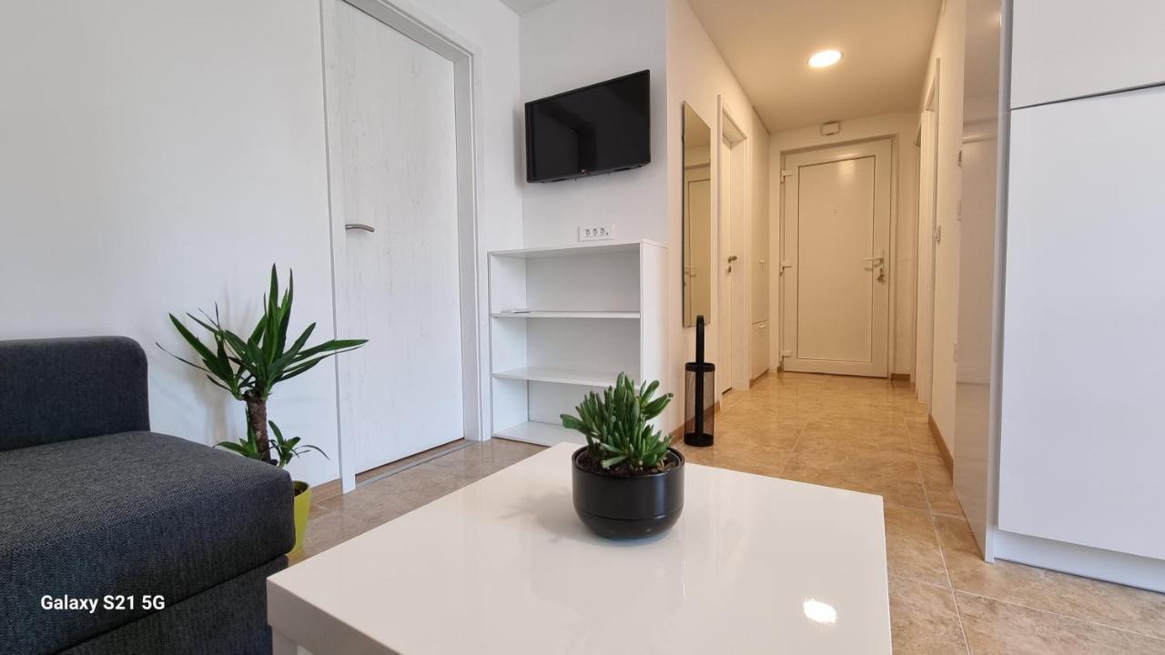 Apartment Rivarela Blu - Newly Renovated And Top Location Near Sea Novigrad  Exterior photo