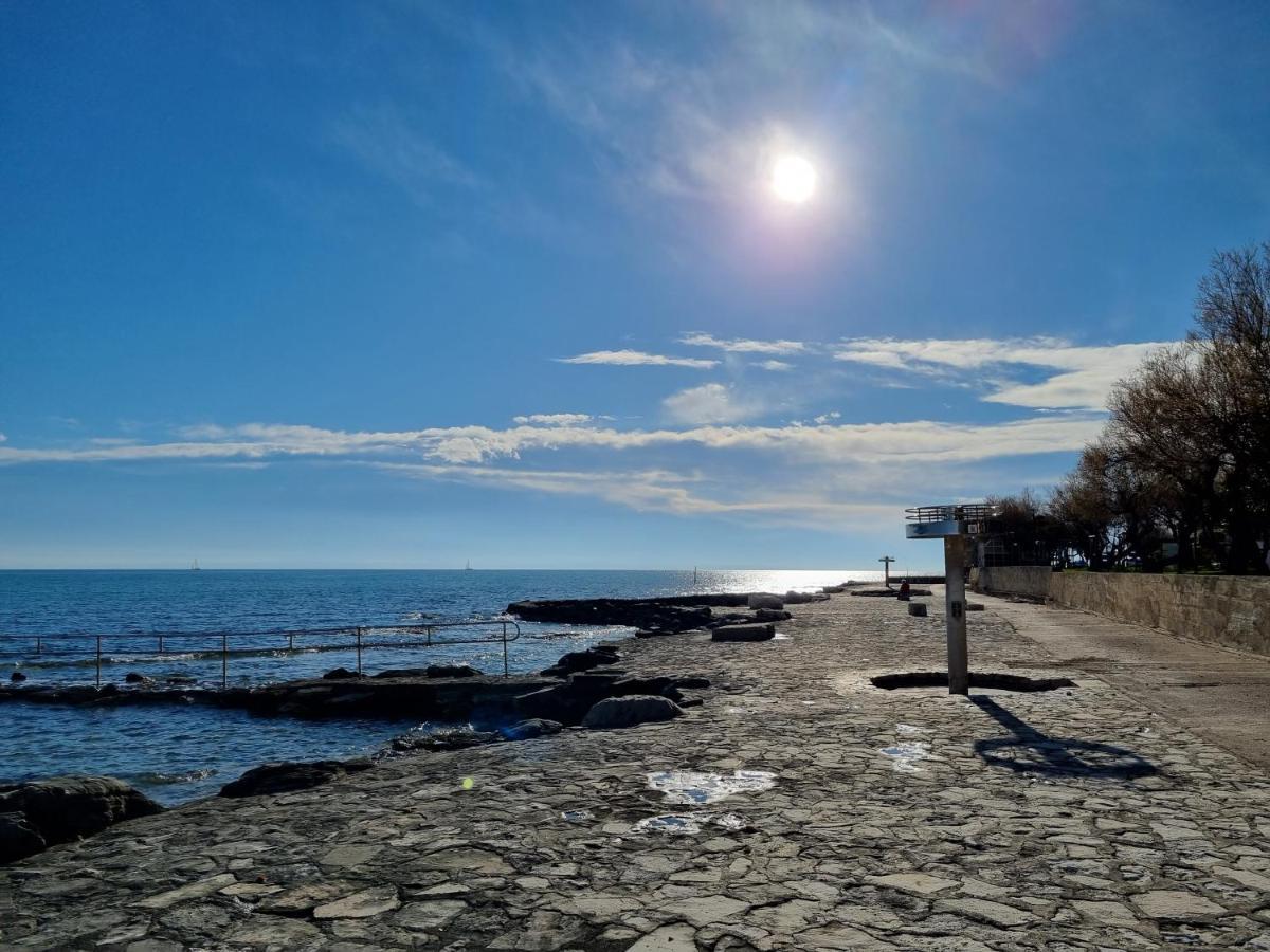 Apartment Rivarela Blu - Newly Renovated And Top Location Near Sea Novigrad  Exterior photo